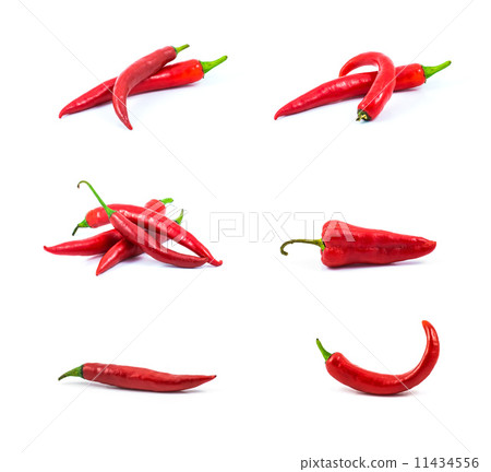 red hot chili pepper isolated on a white background red hot chili pepper isolated on a white background 11434556