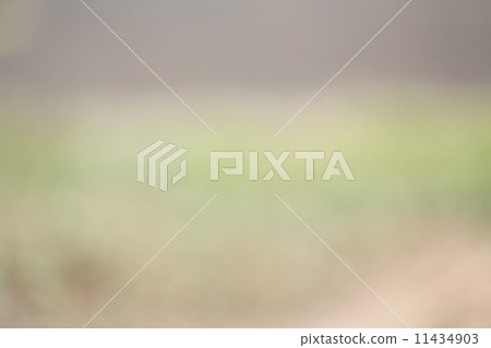 blurred vintagel background blurred vintagel background 11434903