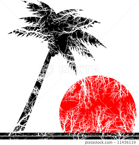 Palm Tree Palm Tree 11436119
