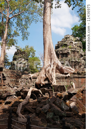 Ta Prohm Temple. Angkor. Cambodia Ta Prohm Temple. Angkor. Cambodia 11436975