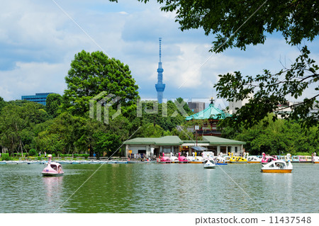 上野有藍天傳播的小船池塘和東京天空樹 11437548