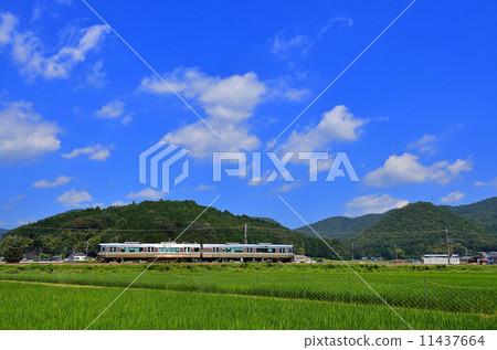 鐵路火車三合幹線京都口221系列Sonobe  -  Funaoka夏天的天空夏天藍色稻田稻田國家鐵路彩色特快列車JR西日本Sagano線地方正常 11437664