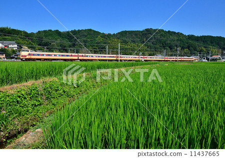 Railway train San-in main line Kyoto mouth 381 series Chiyogawa ~ Yagi early summer blue rice rice paddy rice country railway color express train express JR west Japan Sagano line Kinosaki hazime 11437665