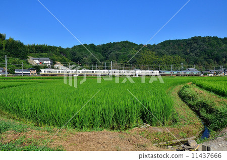 Railway train Sanin main line Kyoto mouth 221 series Chiyogawa ~ Yagi early summer blue summer rice paddy rice paddy rice JR west Japan Sagano line local normal 11437666