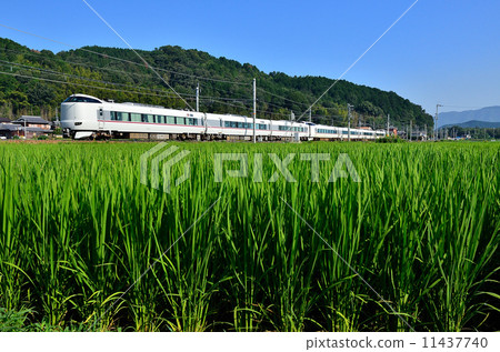 Railway train San-in main line Kyoto mouth 287 series Chiyogawa ~ Yagi early summer blue summer blue rice paddy rice paddy limited express JR west Japan Sagano line Kinosaki hazime Maizuru 11437740