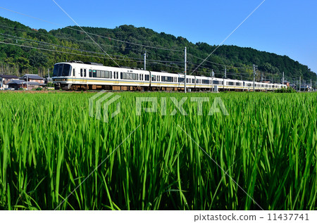 Railway train Sanin main line Kyoto mouth 221 series Chiyogawa ~ Yagi early summer blue summer rice paddy rice paddy rice JR west Japan Sagano line local normal 11437741