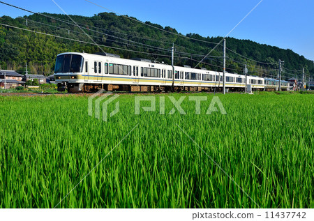 Railway train Sanin main line Kyoto mouth 221 series Chiyogawa ~ Yagi early summer blue summer rice paddy rice paddy rice JR west Japan Sagano line local normal 11437742