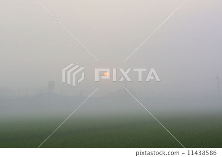 The sun and fog 11438586