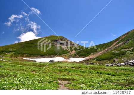 Norikura and flower garden in summer Norikura and flower garden in summer 11438757