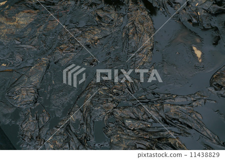 crude oil spill on the stone at the beach 11438829