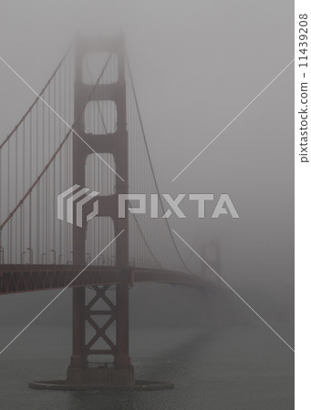 金門大橋 有霧的 霧 11439208