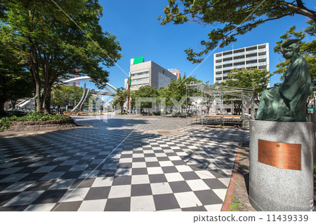 Chiba Central Park in Chiba City, Chiba Prefecture 11439339
