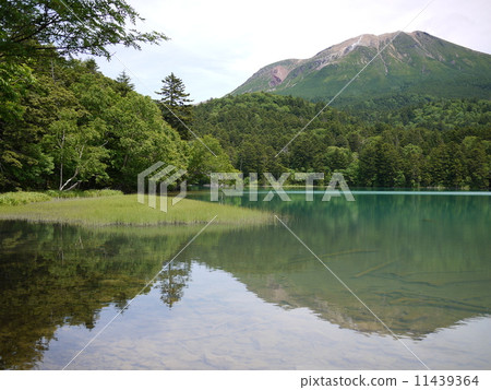 Hokkaido Onneto early summer 11439364
