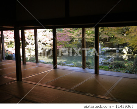 蓮花寺 11439365
