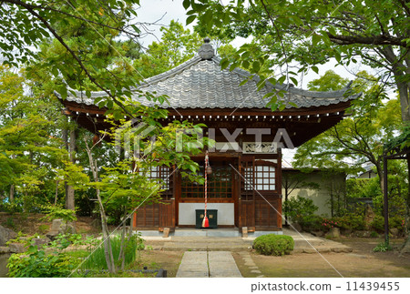 步行上田·信濃國分寺地藏廳 11439455