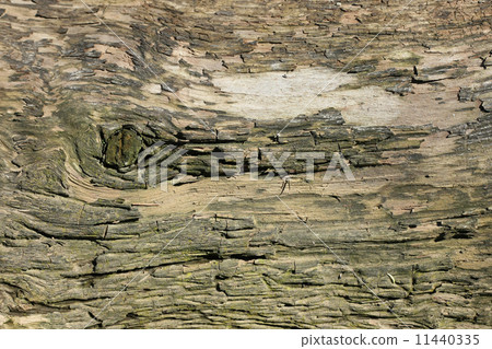 Old wood cracked texture 11440335