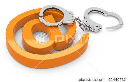 the cyber crime the cyber crime 11440782