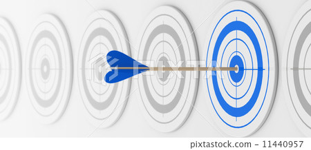 the blue target the blue target 11440957