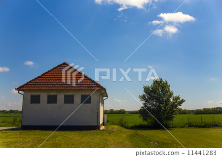 Slovakia (suburb of Bratislava) 11441283