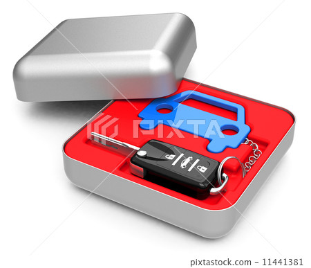 the car key the car key 11441381