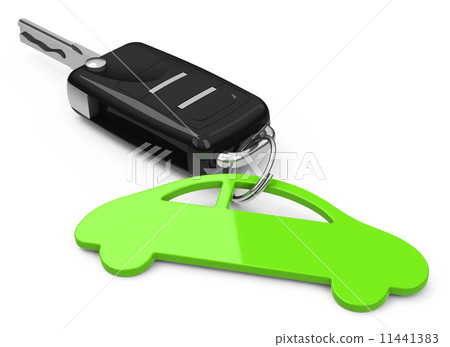 the car key 11441383