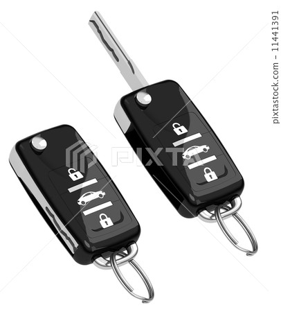 the car keys 11441391