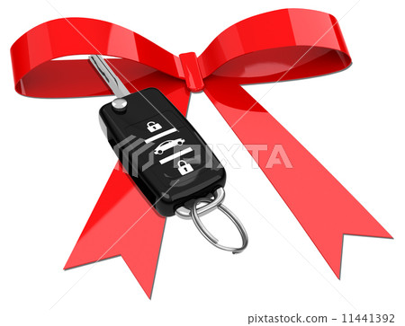 the car key 11441392