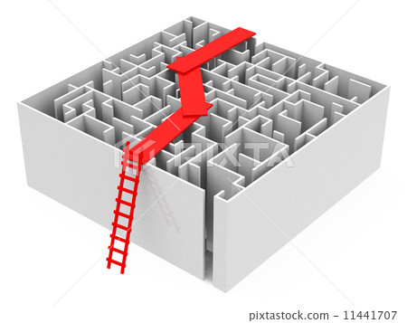 bridge above a maze 11441707