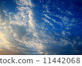 Sunset sky 11442068