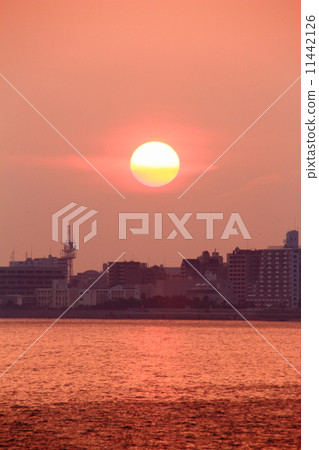 夕陽 夕陽 11442126