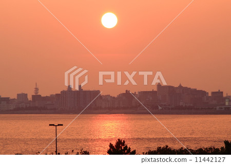 夕陽 11442127