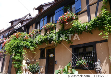 France A small town in the Alsace region Egisuim 11442298