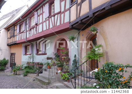 Egisuim的一個小鎮在法國的阿爾薩斯地區 11442368