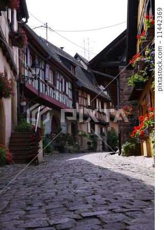 Egisuim的一個小鎮在法國的阿爾薩斯地區 11442369