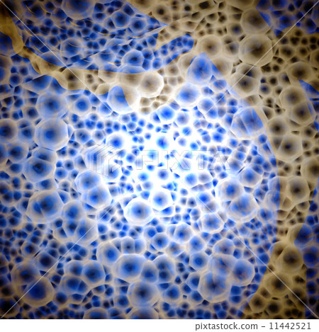 Bacteria cells close up Bacteria cells close up 11442521