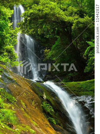 Saruo Falls (Overall view) 11442817