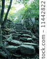 Mountain trail (Kin Hwa Mountain) 11442822