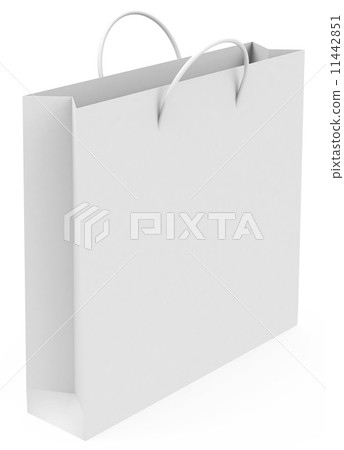the shopping bag 11442851