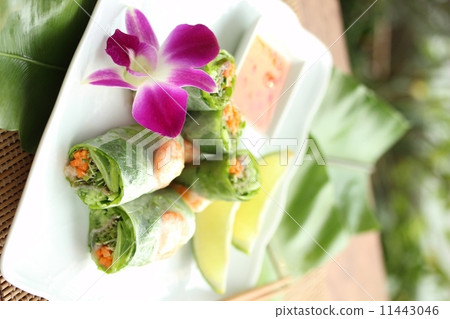 生春捲 生春捲 11443046