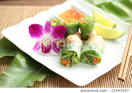 Raw spring roll 11443047