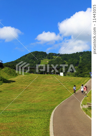 Tanbara薰衣草公園 11443055