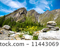 stone figure in the Alps 11443069