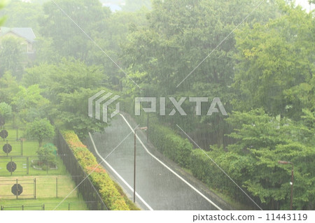 Heavy rain 11443119