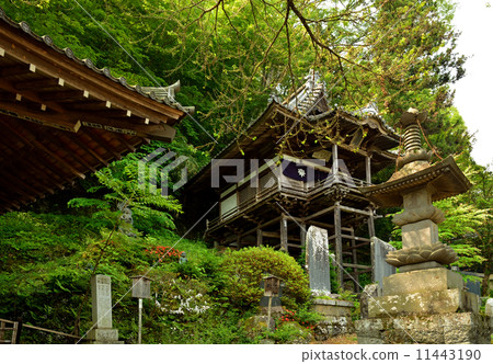 Walking Ueda · Hot Springs Yakushi Ruri Temple North Shinkansen Kannonai 11443190