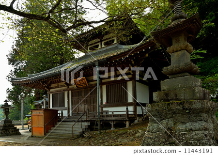 Ueda walk / Fudo-do North Kitano 11443191