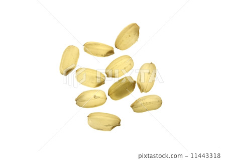 Grain of organic cultivated rice 11443318
