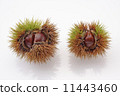 Ikuri (overhead view · white back · 2 pieces) 11443460