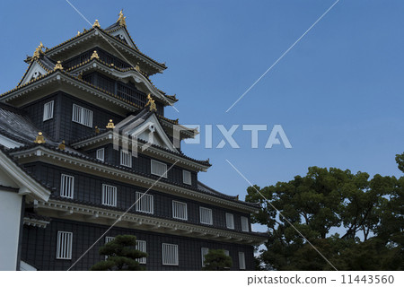 Okayama Castle 11443560