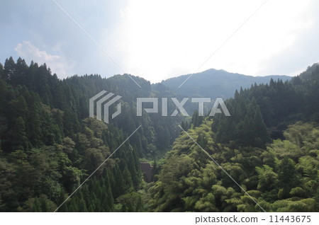 Summer mountains 11443675