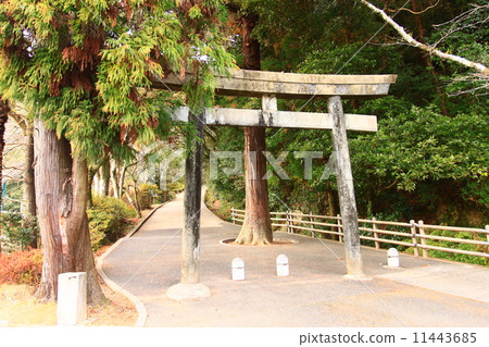 Saeki castle ruins 11443685